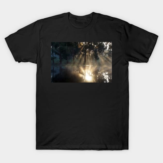 Light Refraction at Magpie Springs by Avril Thomas T-Shirt by MagpieSprings